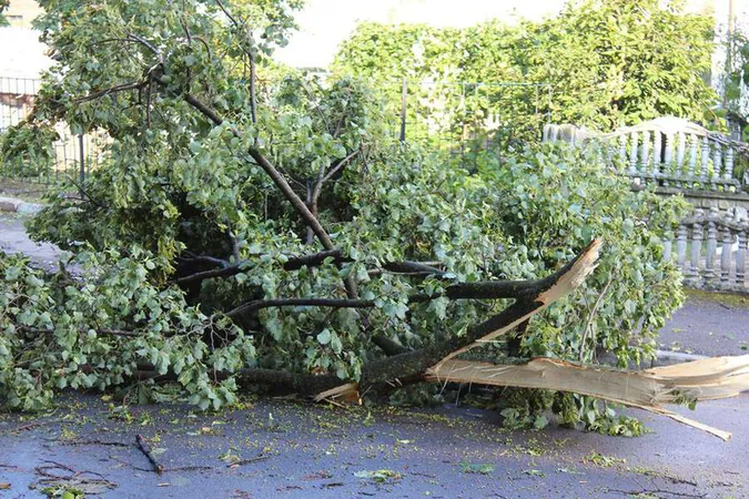 Знеструмлення, зірвані дахи, повалені дерева: що наробив буревій на Волині