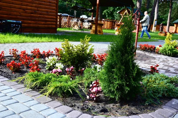 Лісівники соціальні: подорож рекреаційними пунктами Волині (фото)