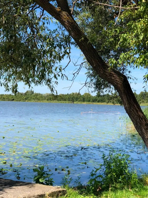 Не лише Світязь: на Шацьких озерах причаїлася мальовнича водойма з моторошною назвою (фото)