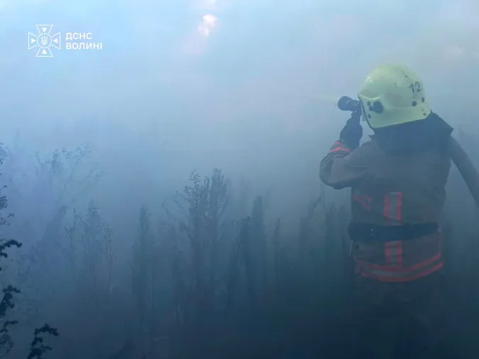 Три пожежі в одному районі: на Волині горіло 2 га чагарників (фото)