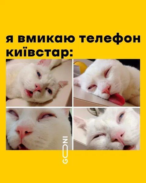 Не втратимо зв'язок: меми про Київстар
