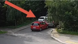 Здавав задом: у Луцьку на в'їзді до парку зіткнулися бус і легковик (відео)