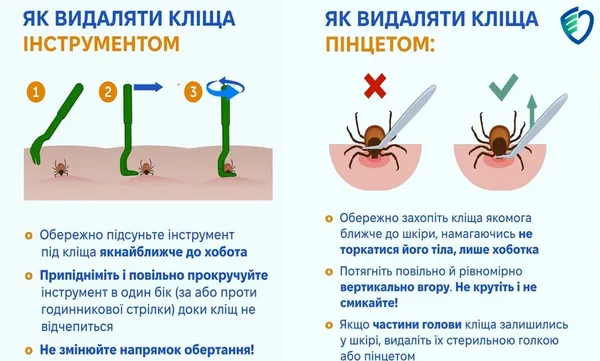 На Волині підтвердили два випадки кліщового енцефаліту