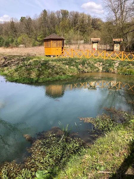 Лісівники відновили урочище у Володимир-Волинському районі (фото)
