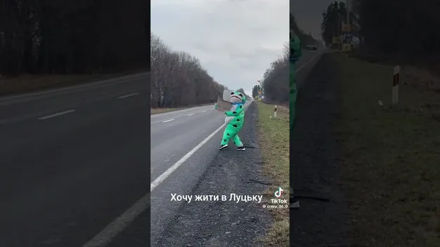 На трасі біля Луцька диво-жаба зупиняє машини (відео)