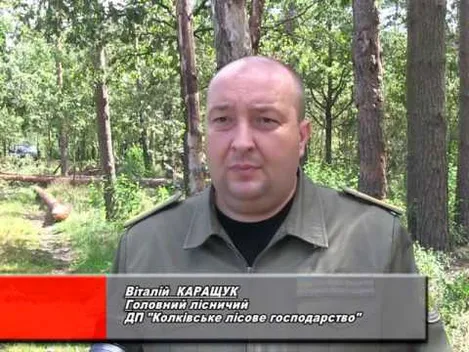Шкідники знищують волинський ліс (відео)