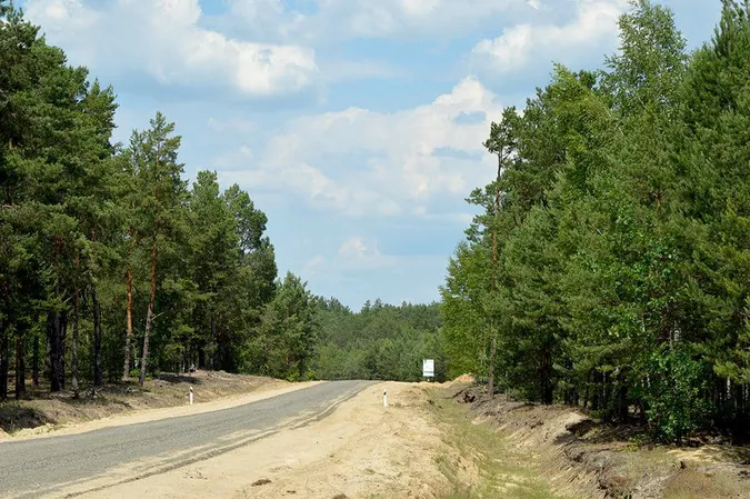 Волинські лісівники адаптуються до нових реалій (фото)