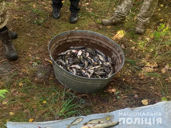 Головне у Луцьку: ТОП новин четверга, 15 вересня