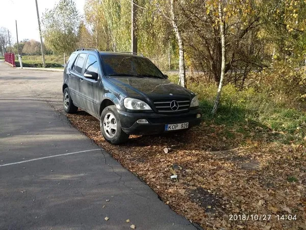 У луцькому парку карали водіїв за неправильне паркування (фото)