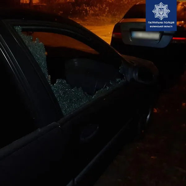 Розбивав скло і «чистив» автомобілі: у Луцьку на Коновальця затримали крадія (фото, оновлено)