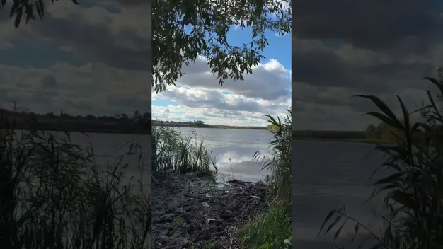 Щука, короп і лин до 4 кг: неподалік Луцька є великий став, де можна безкоштовно порибалити з човна (відео)
