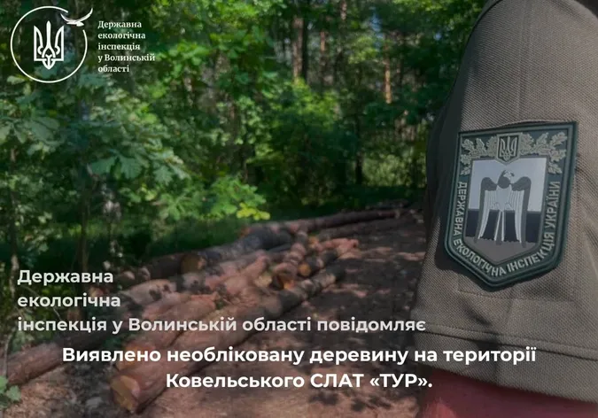 На Ковельщині виявили майже 50 кубів необлікованої деревини