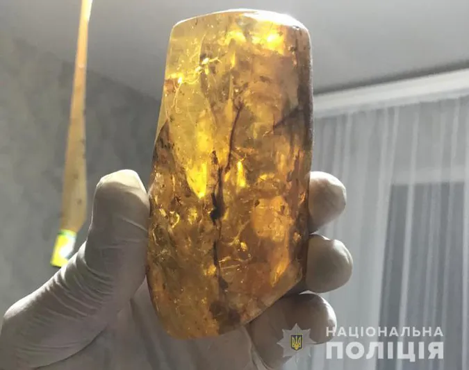 На Волині викрили цех з незаконної обробки бурштину (фото, відео)