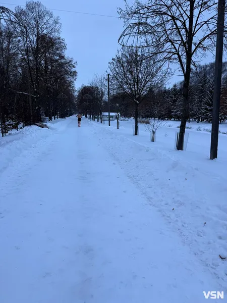 У Луцьку в центральному парку в мороз -17 °C бігав чоловік без одягу (фото, відео)