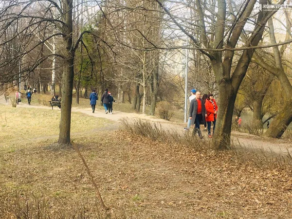 Безлюдна автостанція і «туси» в парку: як карантинить Луцьк 19 березня (фото)