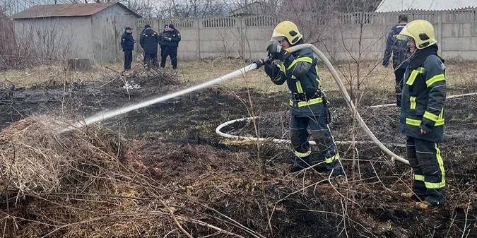 Під Луцьком чоловік підпалив поле й ледь не спалив сусідні будинки (фото)