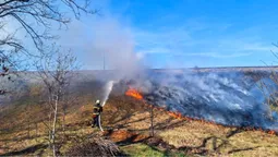 Гектари територій палають у вогні: на Волині за добу – 10 пожеж (фото)