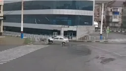 У Луцьку хочуть відмовитися від металевих парканів уздовж доріг: що пропонують натомість (відео)
