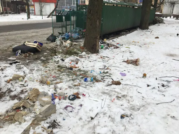 Лучанка поскаржилася на жахливу антисанітарію на окрузі Поліщука (фото)