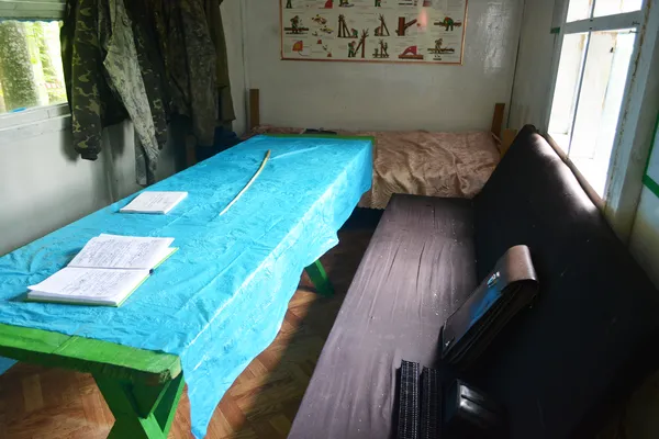 Від сучків до дубових заготовок: як на Волині «пиляють» ліс (ФОТОРЕПОРТАЖ)