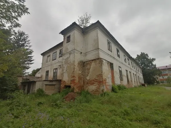 200 метрів величі перетворилися на 40: драматична доля палацу Браницьких на Волині (фото)