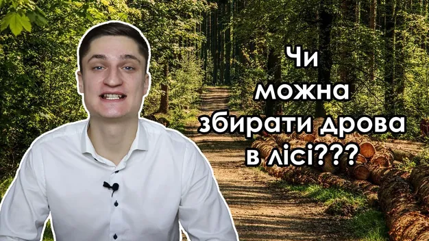 Чи можна збирати дрова в лісі: луцький юрист розповів про штрафи (відео)