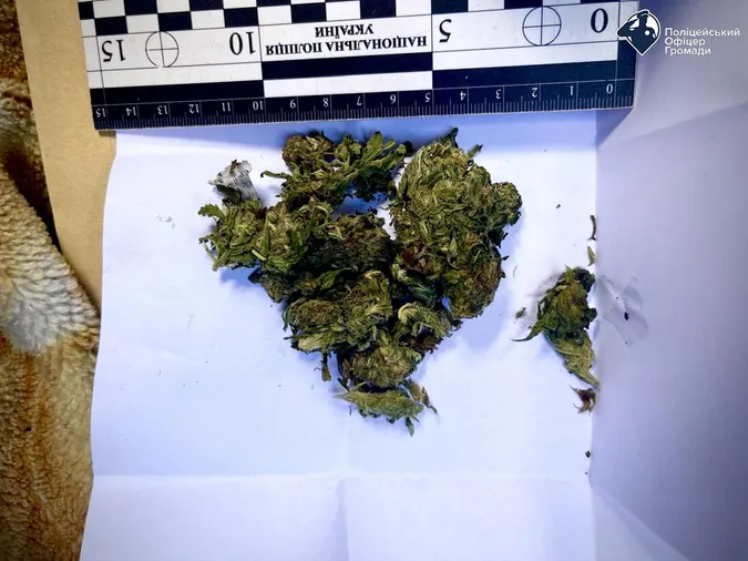Дорога до кайфу волинянина закінчилася під ногами офіцерів громади