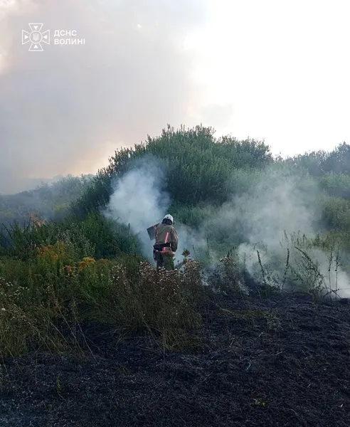 Вогонь охопив 6 гектарів: на Волині за дві доби сталися 8 пожеж (фото)