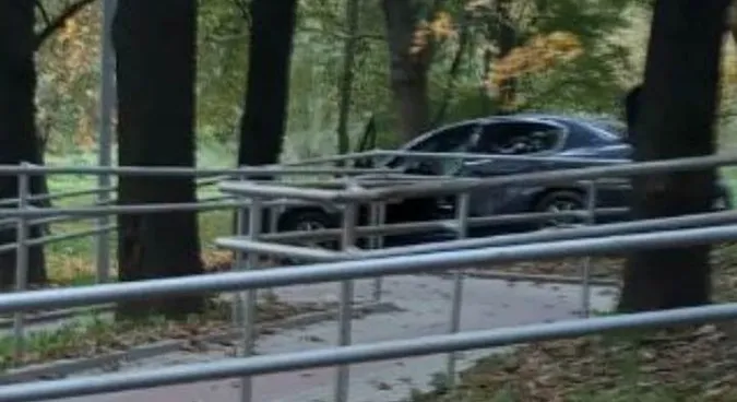 У луцькому парку «Дубки» легковик врізався в дерево (фото, відео)