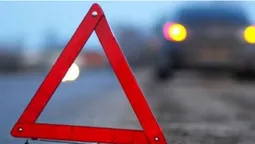 Біля Луцька на трасі автобус збив двох дітей (відео)