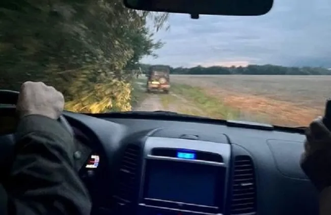 У лісі на Волині забили самця козулі (фото)