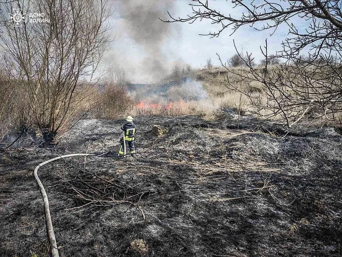 На Волині палають поля та дачні масиви (фото)