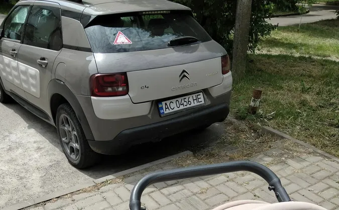 Паркохам з наліпкою «дитина в авто»: луцький журналіст обурився діями порушника