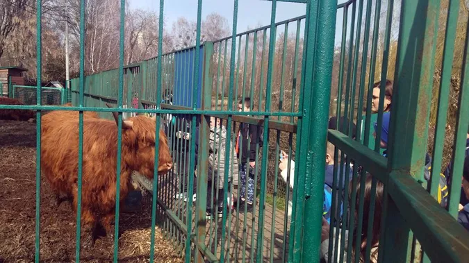 У Луцькому зоопарку знову проводять екскурсії (фото, відео)