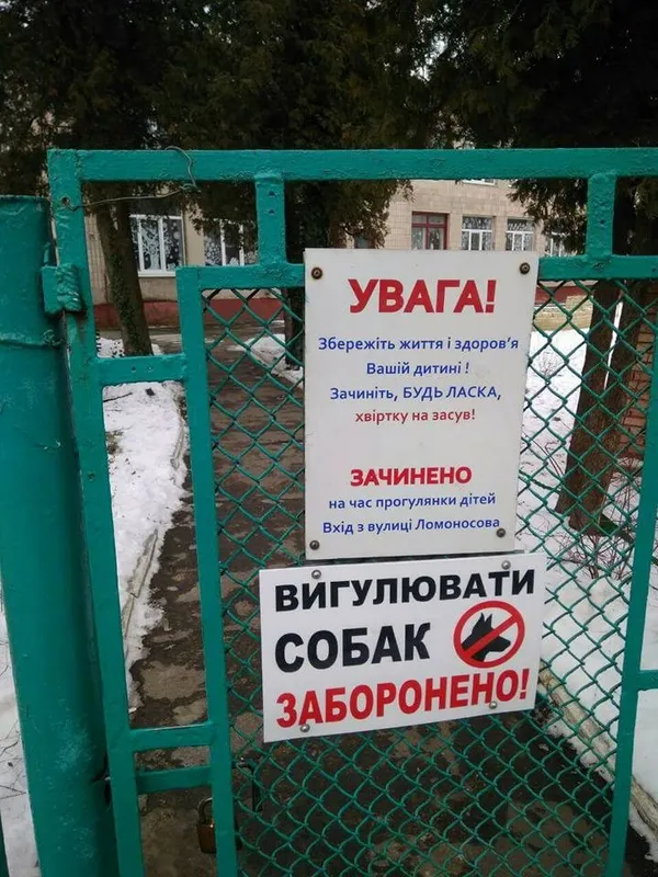 На території луцьких шкіл і дитсадків заборонили вигулювати собак (фото) 