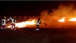 Необережне поводження з вогнем і коротке замикання: на Волині виникли чотири пожежі (фото)