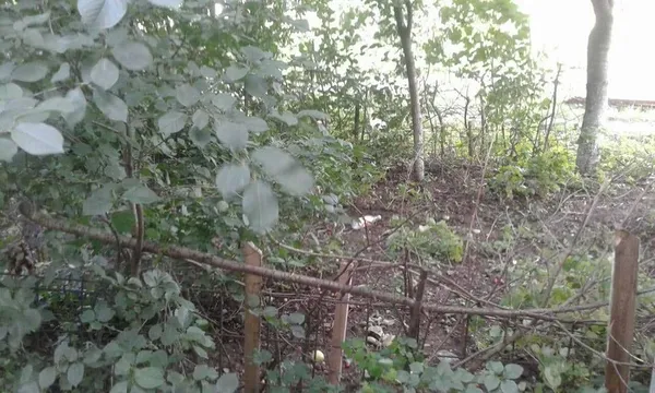 Проспект Соборності у Луцьку очистили від обмежувачів руху (фото) 
