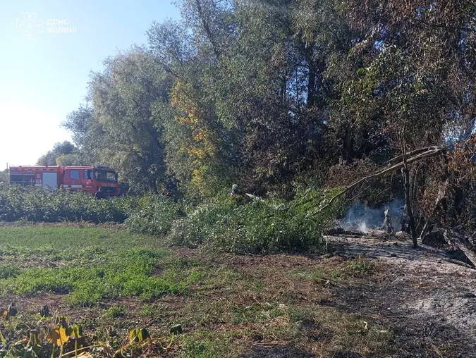 Понад гектар вигорів за день: на Волині горіли суха трава, чагарники та сміття (фото)