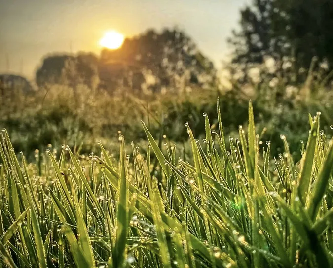 Світязь вкрився ранковим туманом: неймовірні кадри (фото)