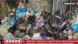 Ще одне джерело смороду: біля будинку у центрі Луцька – гори сміття (відео)