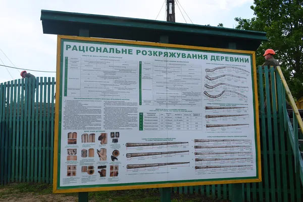 Від сучків до дубових заготовок: як на Волині «пиляють» ліс (ФОТОРЕПОРТАЖ)