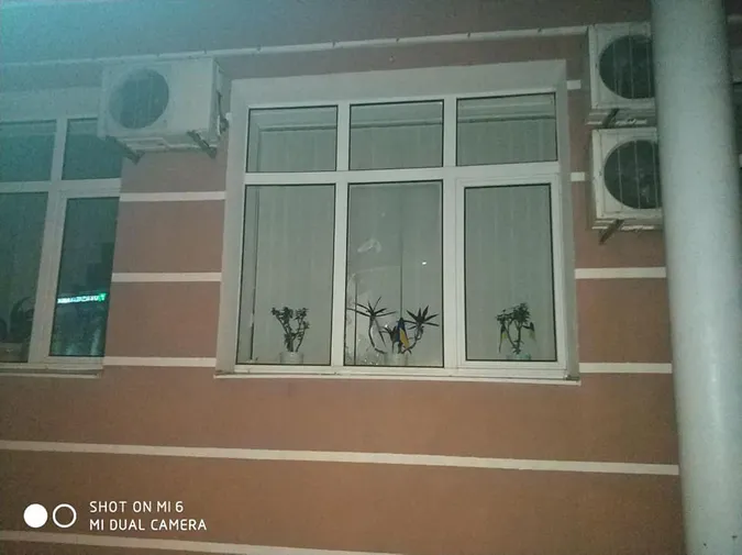 Департаменту мунварти в Луцьку розбили вікна (фото, відео)
