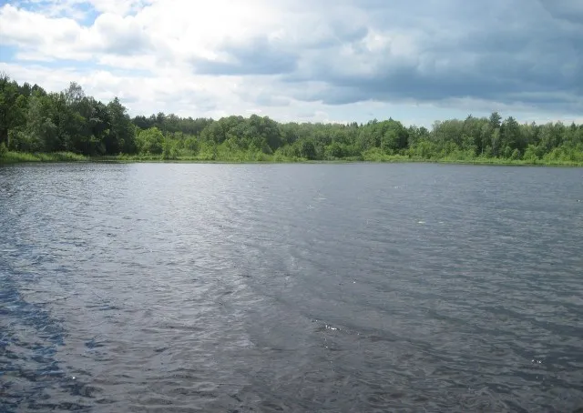 За 85 км від Луцька – озеро з цілющою прозорою водою, яке люблять фанати довгих запливів (фото)