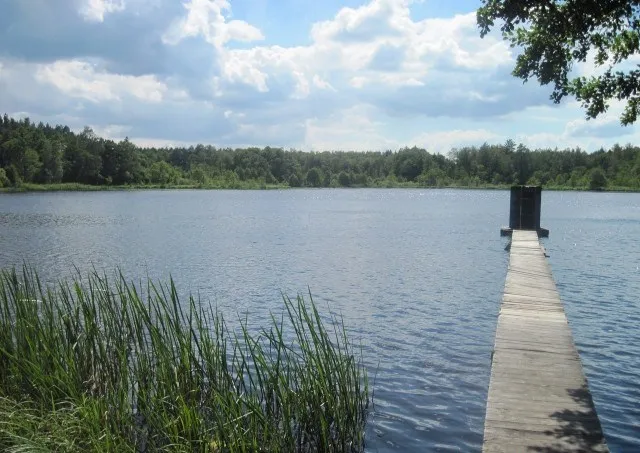 За 85 км від Луцька – озеро з цілющою прозорою водою, яке люблять фанати довгих запливів (фото)