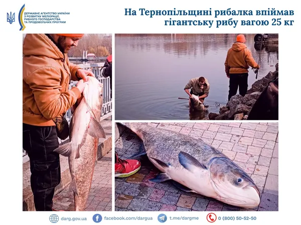 На Тернопільщині рибалка впіймав гігантського товстолоба вагою 25 кг (фото)