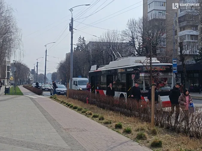 У центрі Луцька раптово зупиняються «рогаті»: що коїться (фото)