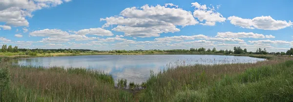 Глибоке і з прозорою водою: біля Луцька є озеро, де водиться багато риби (фото)