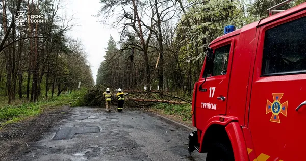 Зірвані дахи, повалені дерева, пошкоджені авто: наслідки негоди на Волині (фото)