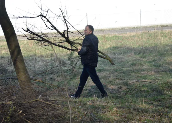 Петро Нестерук підтверджує слова Петра Пилипюка й активно зноситься гілляки на спільну купу...