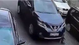 Водійці, яка переїхала собаку у Луцьку, загрожує кримінал (відео)